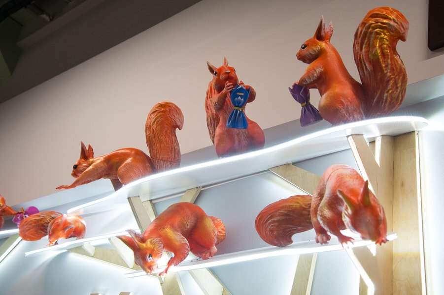 Squirrels love candy: a new display format for the Roshen chain of stores