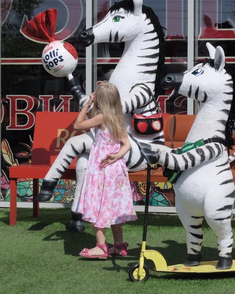 Street decorations "Funny Zebras" for Roshen in Vinnytsia