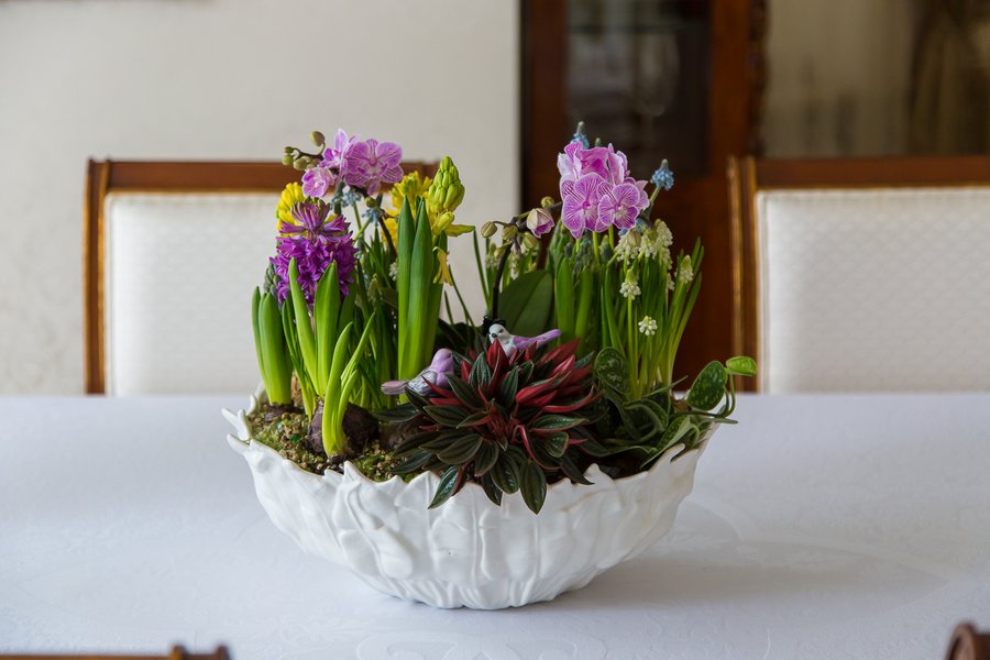 Spring flower decoration at home