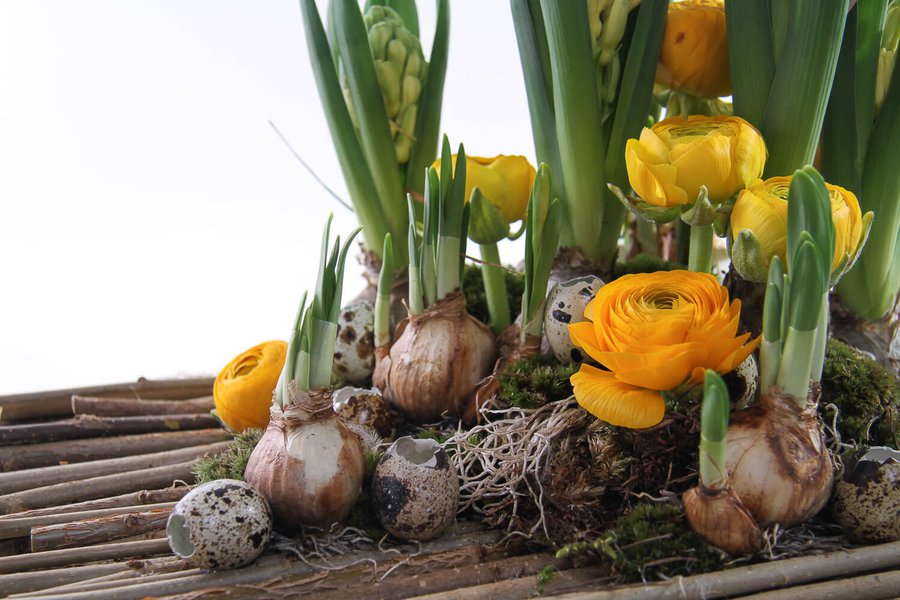 Easter collection of floristry and decor