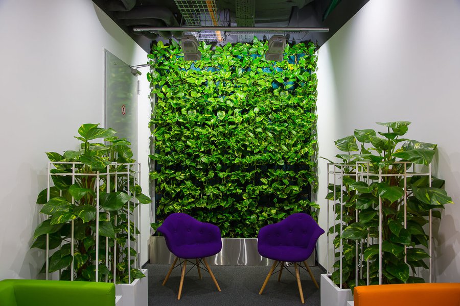 Озеленение офиса Mondelez