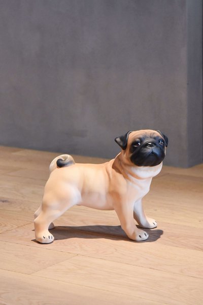 Pugs Collection