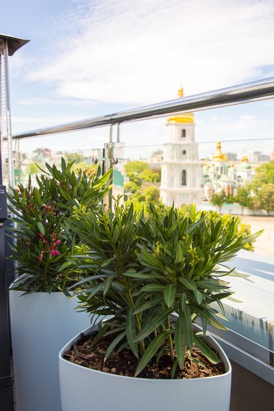 Terrace in Nice & Sexy style for the Hyatt Regency Kyiv hotel