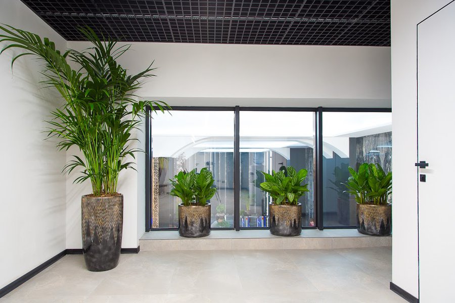 Elegance and style: landscaping of the "Interhal-Bud" office