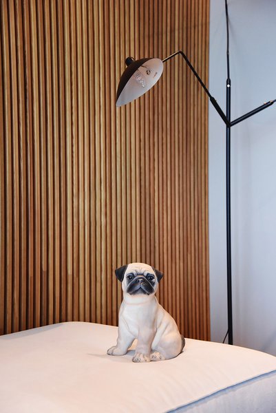 Pugs Collection