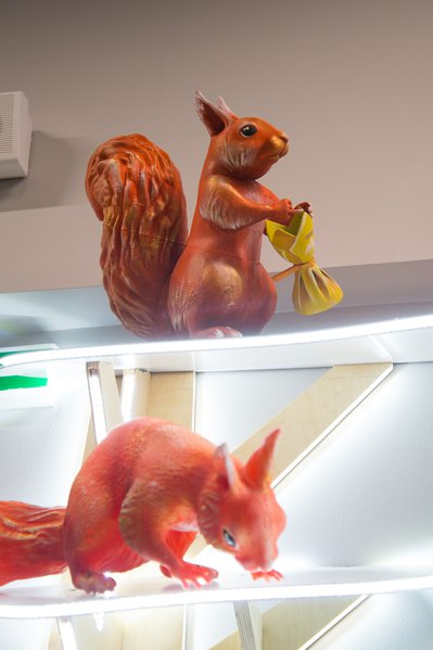 Squirrels love candy: a new display format for the Roshen chain of stores