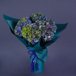 Mono bouquet of 5 hydrangeas