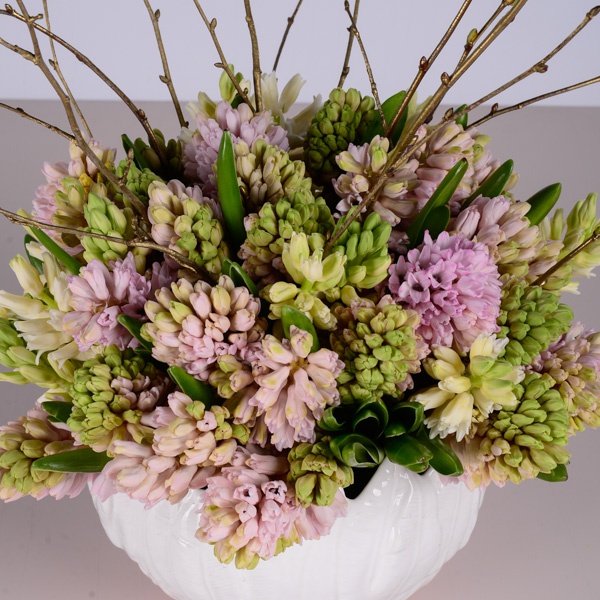 Composition of 51 hyacinths in a vase