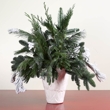 Bouquet of winter needles in a vase