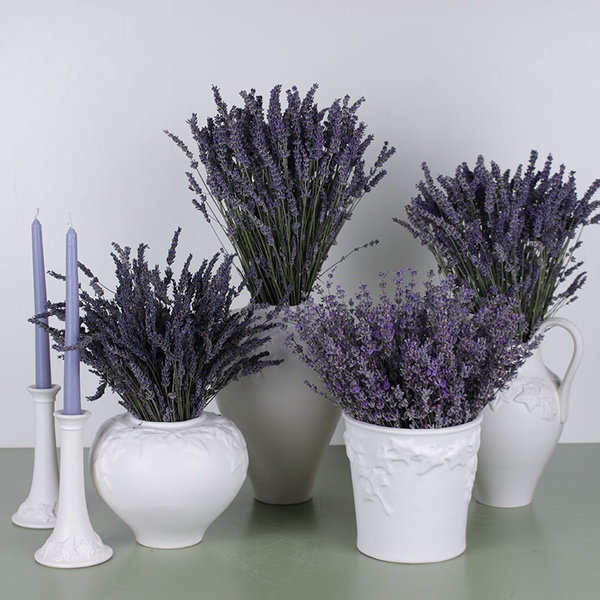 Set Vase Anna and lavender