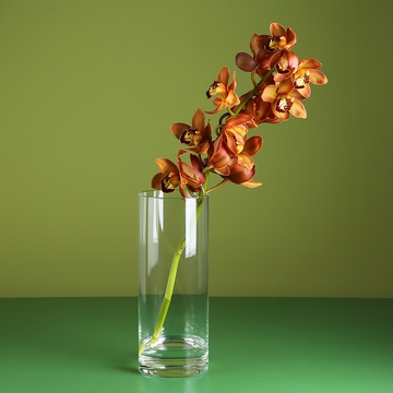 Branch of orange cymbidium in a vase