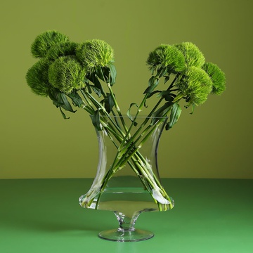 Green Ball carnations in a vase
