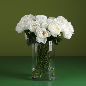 White Cloud roses in a vase
