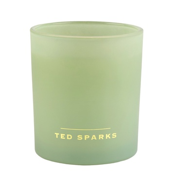 Bergamot & Angelica candle - Ted Sparks