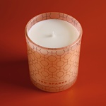 Scented candle "Jasmine & Rosewood" Ted Sparks