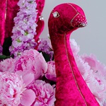 Composition in pink peacock with peonies and matiola