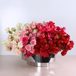 Flower composition gradient of roses