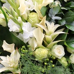 Funeral wreath with protea