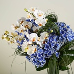 Bouquet of hydrangeas and phalaenopsis
