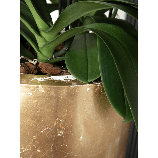 Planter Baq Luxe Lite Glossy  Partner white-gold, XL