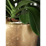 Planter Baq Luxe Lite Glossy  Cylinder white-gold, M