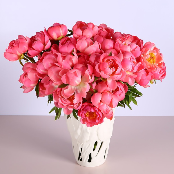 Bouquet of 35 coral peonies in a vase