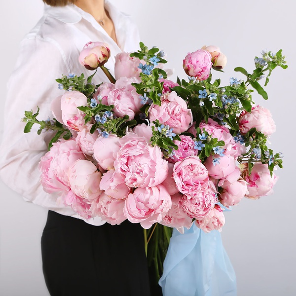 Bouquet of 35 peonies and oxypetalum