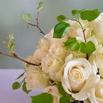 Bouquet of 51 white roses in coconut bark