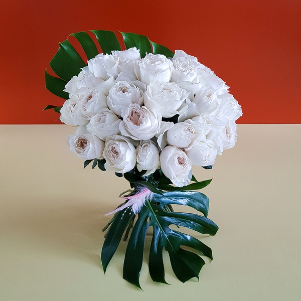 25 White Ohara roses bouquet