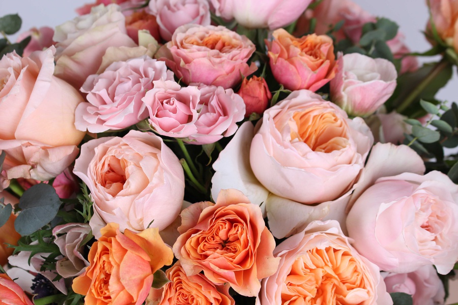Bouquet of a mix of pink and peach roses