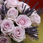 Composition of lilac roses and lavender