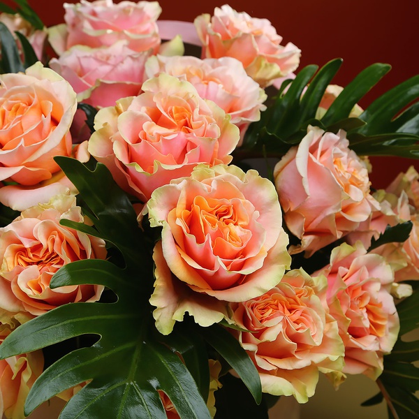 Композиція з 29 персикових троянд Шиммер