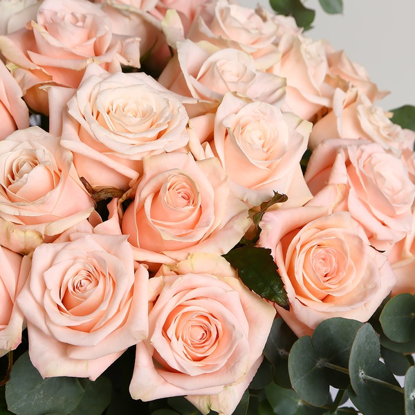 Букет із 51 кремових троянд Шиммер