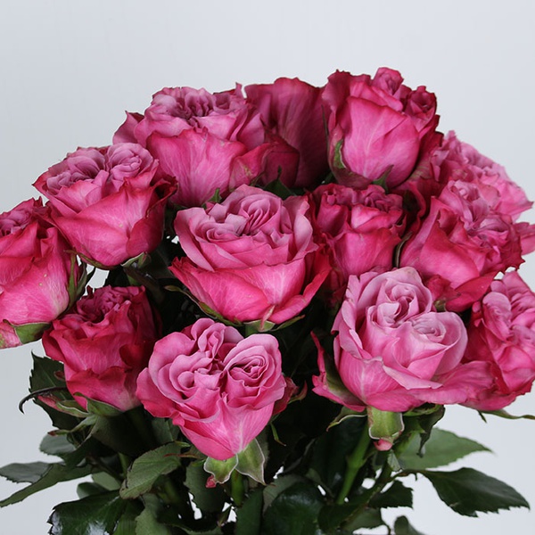 Букет 15 роза Кантри Блюз