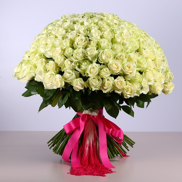 Bouquet of 201 white roses