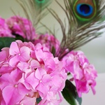 Pink potted hydrangea with decor