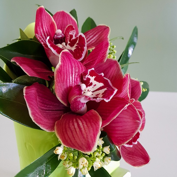 Composition in envelope with cymbidium