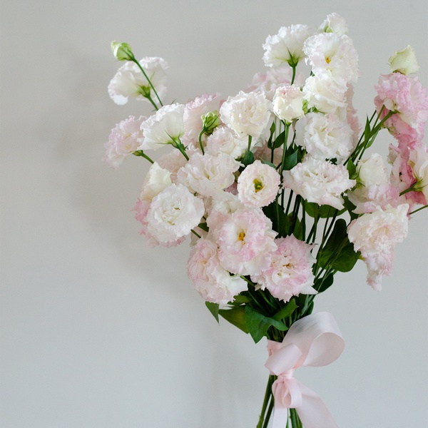Bouquet of eustoma white-pink