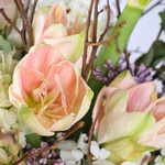 Spring bouquet with amaryllis and tulips