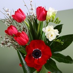 Compliment bouquet red-white