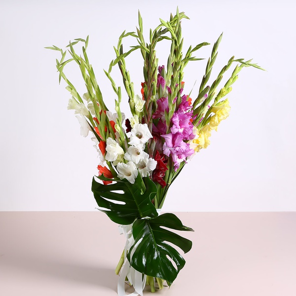 Bouquet of 25 gladioli mix