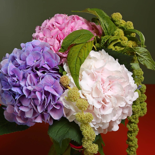 Bouquet of 5 hydrangeas and amaranth