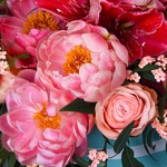 Premium composition with coral peonies