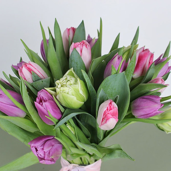 Bouquet of 25 double tulips