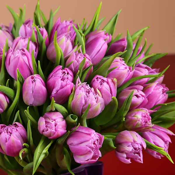 Букет из 51 фиолетовых пионовидных тюльпанов