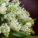 Bouquet of 25 tulips and lilacs
