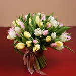 Bouquet of 51 delicate tulips