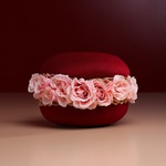 Floral composition in wine macaroon, S