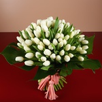 Bouquet of 101 white tulips