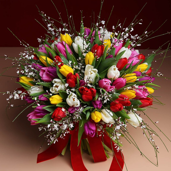 Bouquet of 101 tulips mixed with ginestra